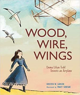 Wood, Wire, Wings book 