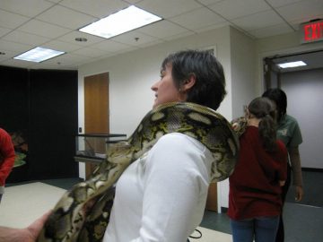 Susan Summer zookeeper with python