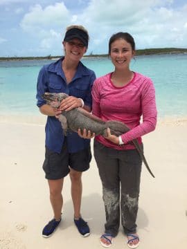 Capturing Iguanas in the Bahamas