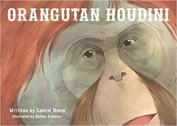 Orangutan Houdini book