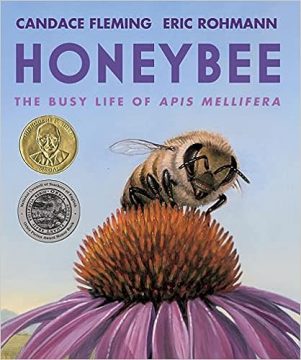 Honey bee book by Candace Fleming